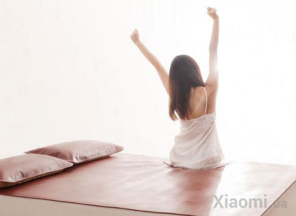 Комплект для кровати Xiaomi Bedding++ Top Layer Buffalo Leather Set 1.8